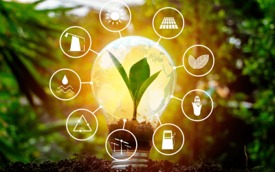 Les secrets d’une rénovation globale réussie : conseils et pièges à éviter